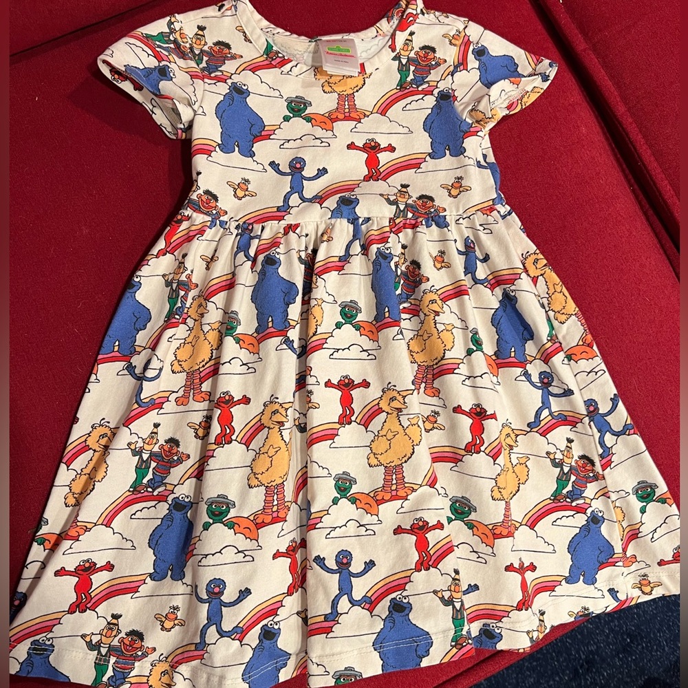 COPY - Hanna Anderson Sesame Street Skater Dress